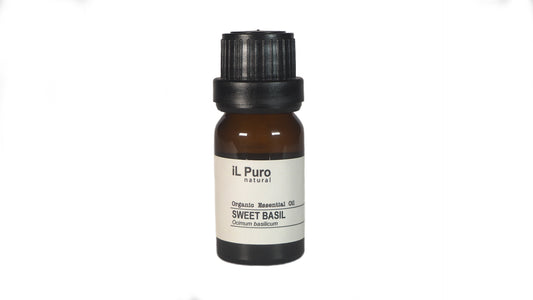 Sweet Basil Essential Oil