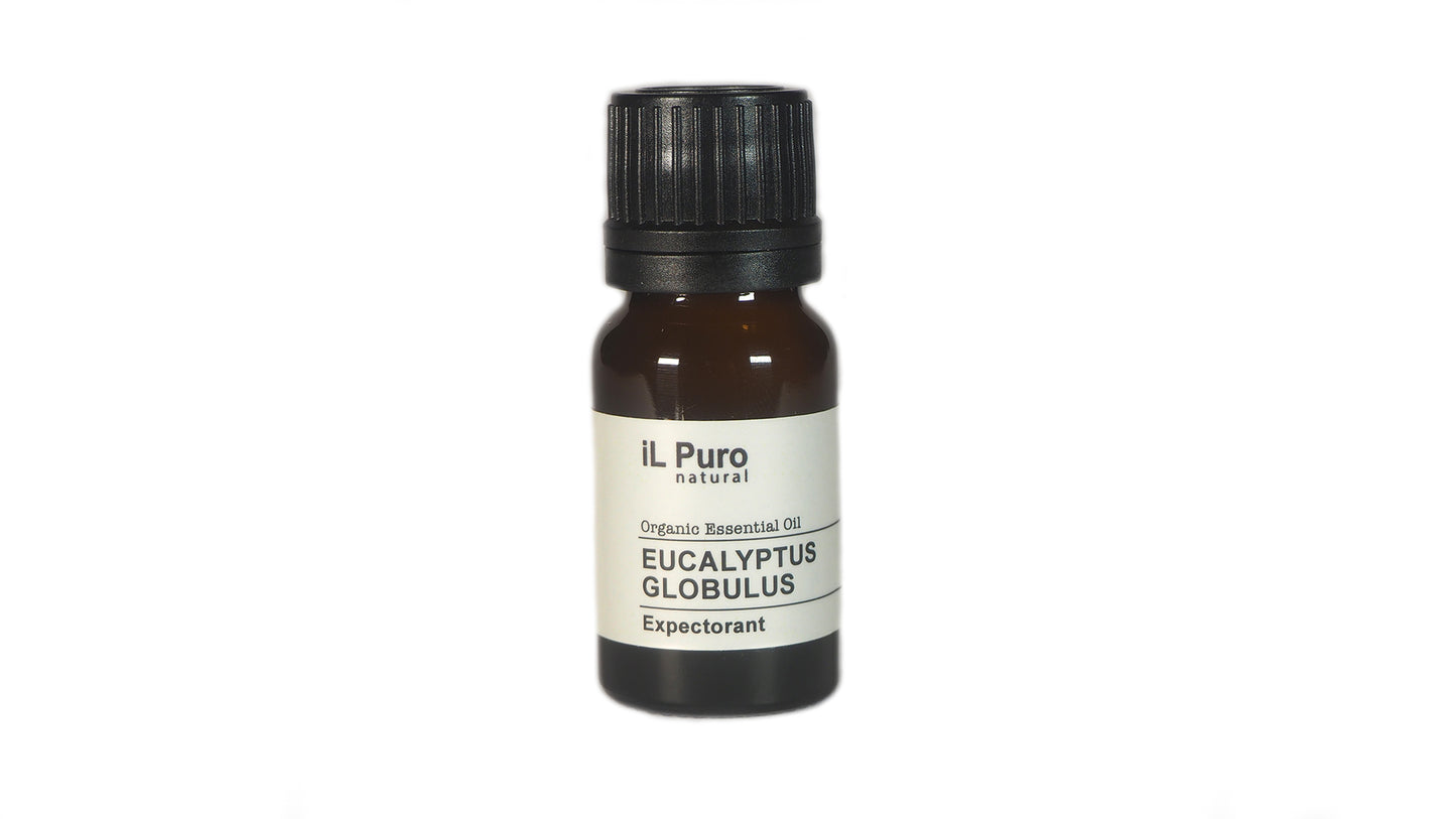 Eucalyptus Globulus Essential Oil