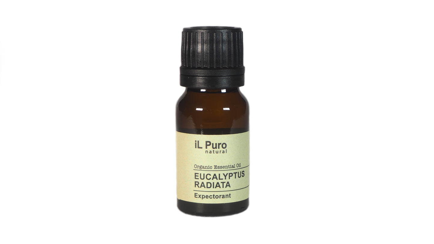 Eucalyptus Radiata Essential Oil