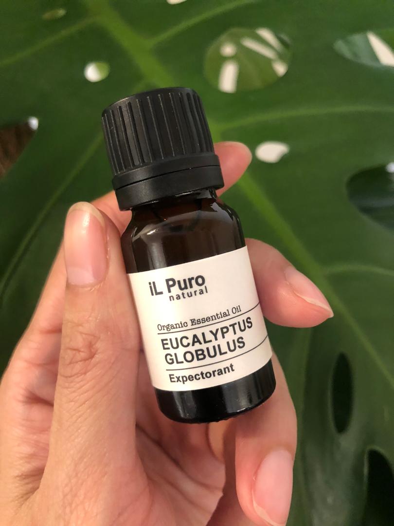 Eucalyptus Globulus Essential Oil